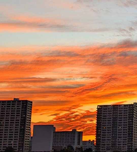 ゴールドサポーター特典例