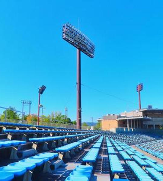 ゴールドサポーター特典例