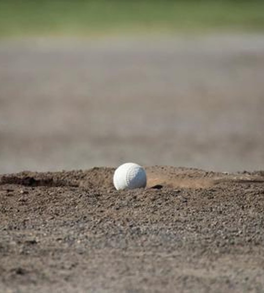 ゴールドサポーター特典例