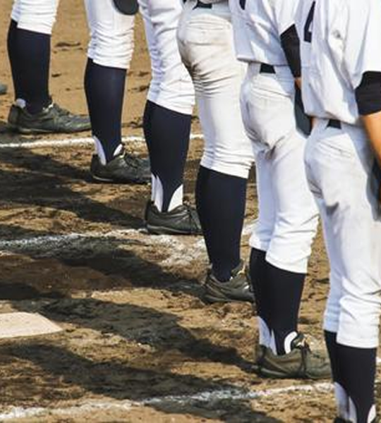 シルバーサポーター特典例