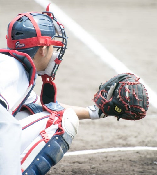 シルバーサポーター特典例