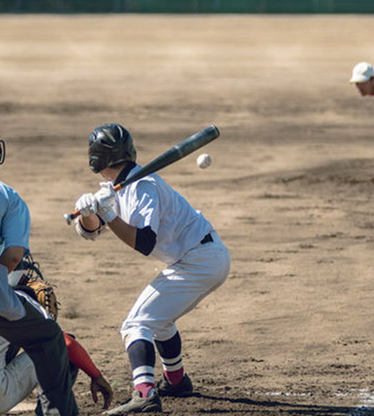 ブロンズサポーター特典例
