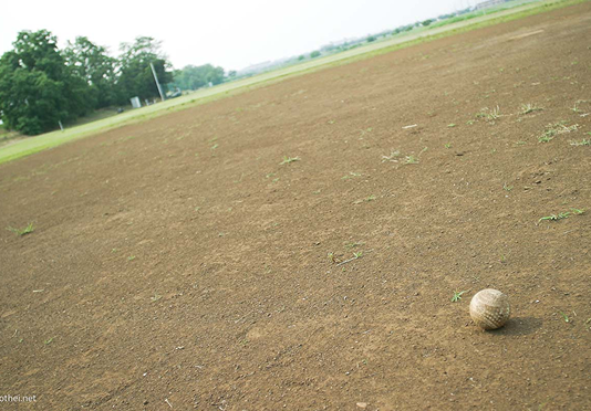 特典 02　イベント先行申込権